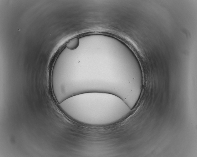 X0000112011270200908031014