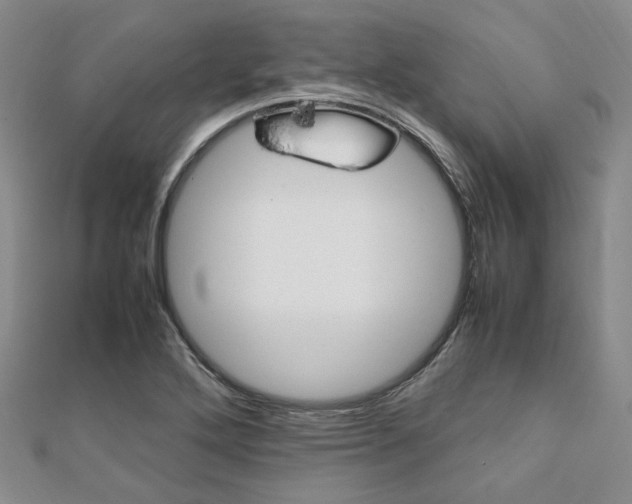 X0000112011272200908031014