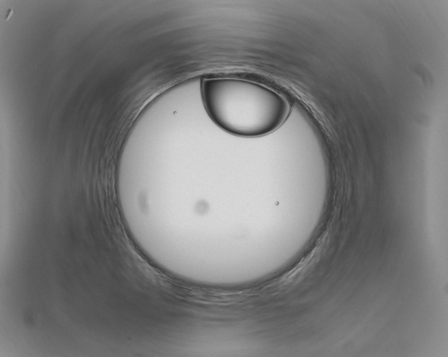X0000112011273200908031014