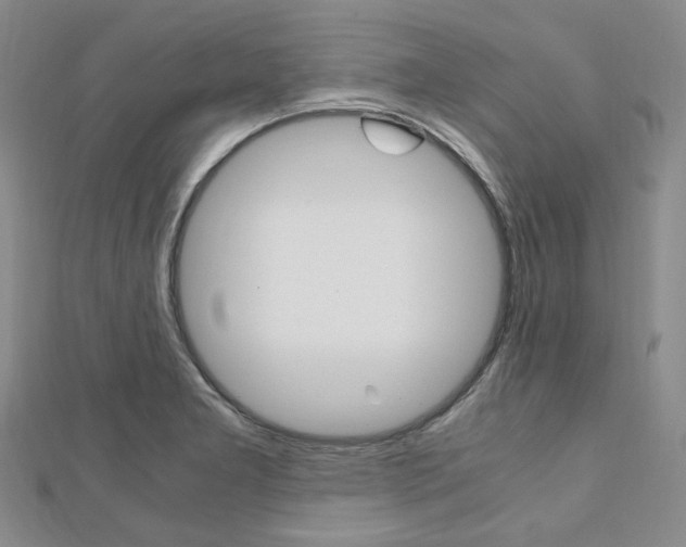 X0000112011277200908031014