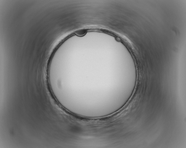 X0000112011279200908031014