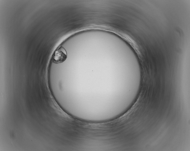 X0000112011280200908031014