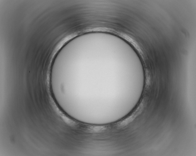 X0000112011282200908031014