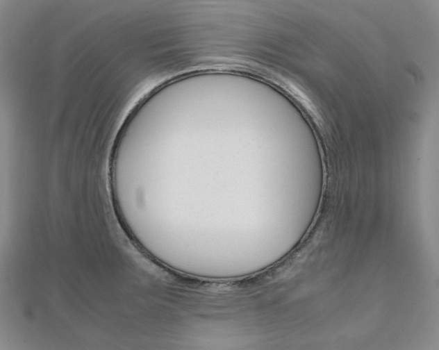 X0000112011283200908031014
