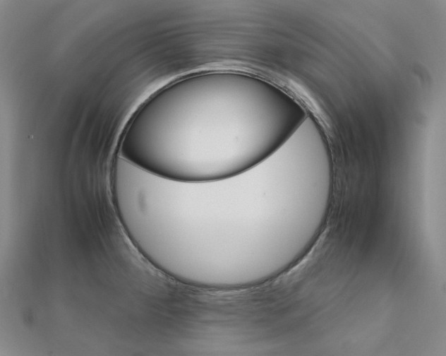 X0000112011284200908031014