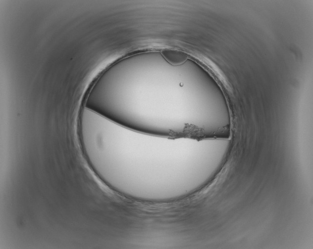 X0000112011285200908031014
