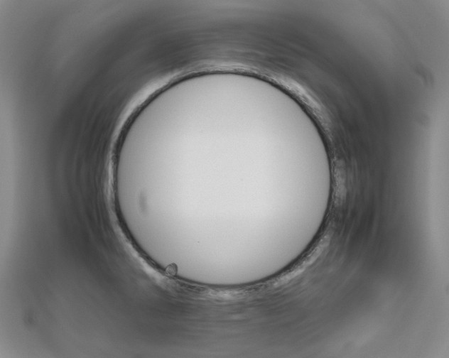 X0000112011286200908031014