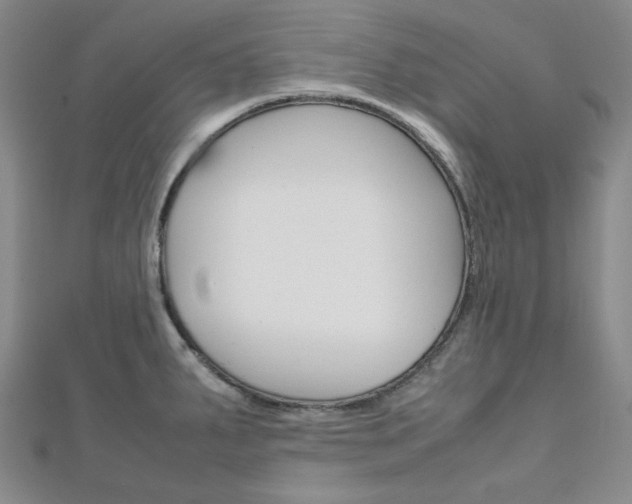 X0000112011287200908031014