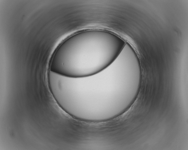 X0000112011288200908031014