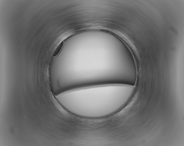 X0000112011289200908031014