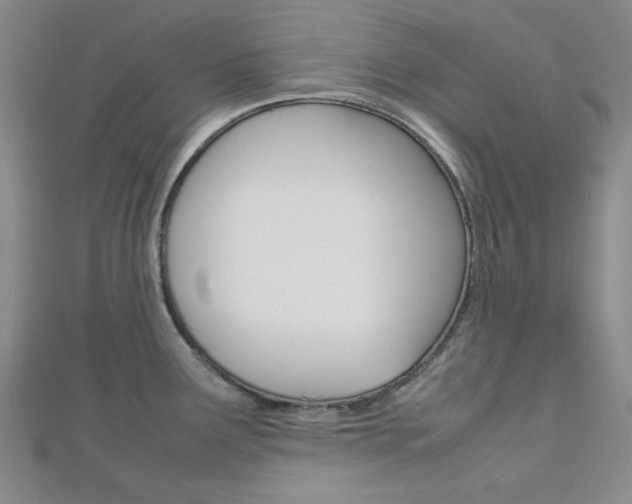 X0000112011291200908031013