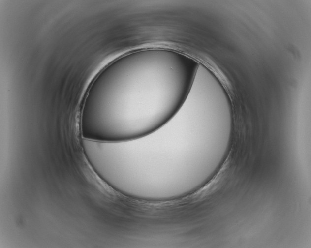 X0000112011292200908031013