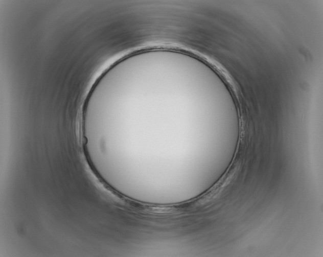 X0000112011295200908031013