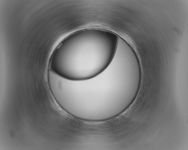 X0000112011296200908031013