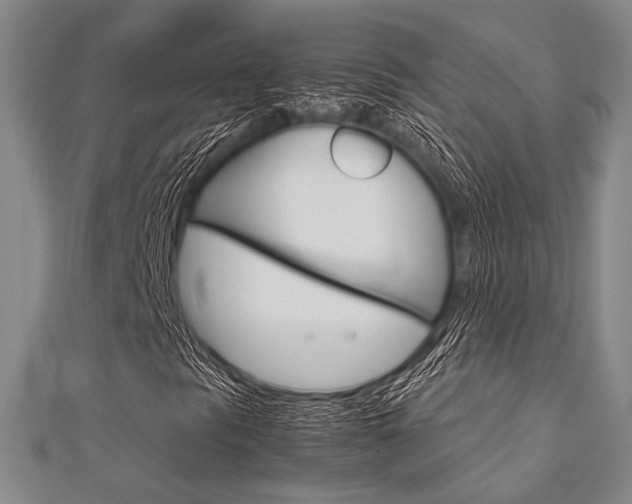 X0000112011297200908031013