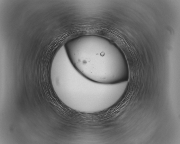 X0000112011298200908031013