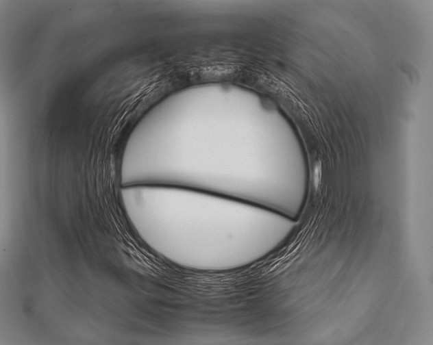 X0000112011299200908031013