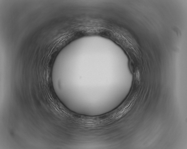 X0000112011300200908031013
