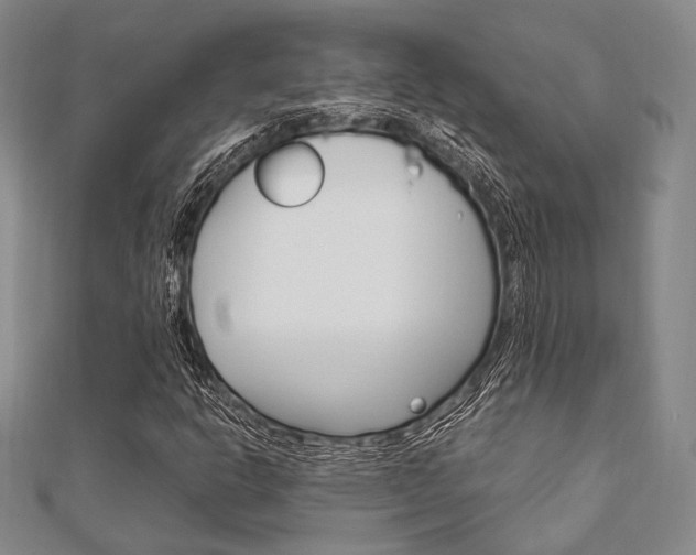 X0000112011302200908031013
