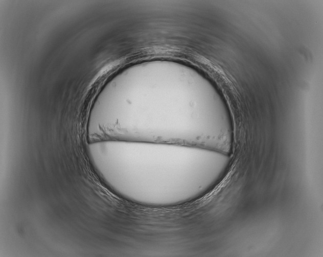 X0000112011306200908031013
