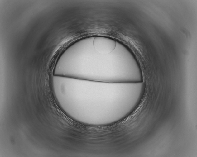 X0000112011307200908031013