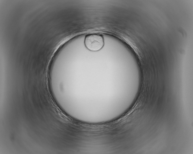 X0000112011308200908031013
