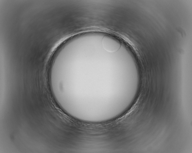 X0000112011310200908031013