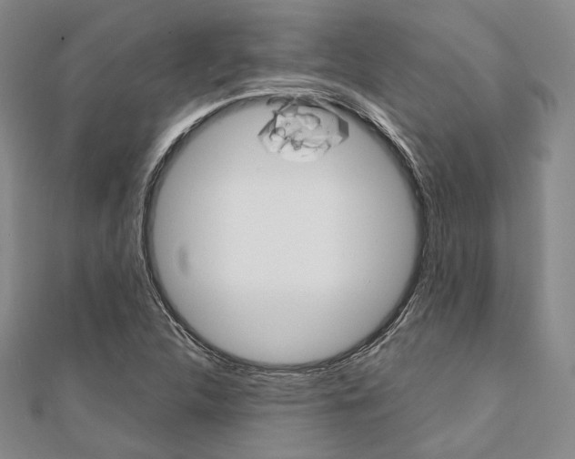 X0000112011312200908031013