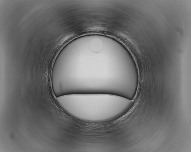 X0000112011313200908031013