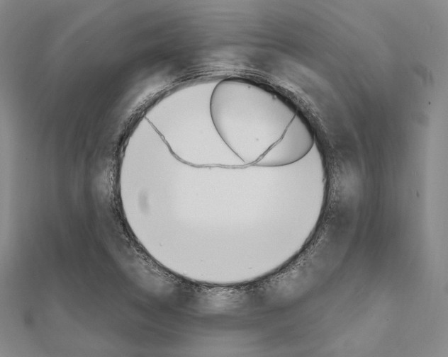 X0000112011314200908031013