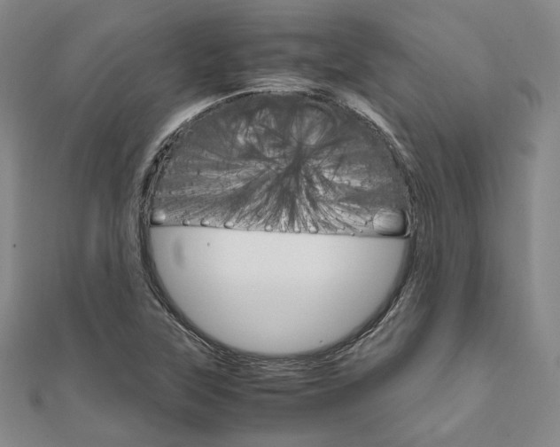 X0000112011315200908031013
