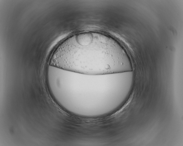 X0000112011317200908031013