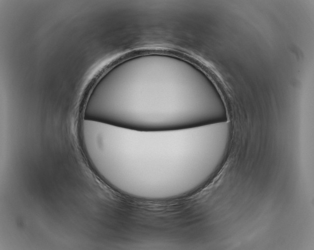 X0000112011319200908031013