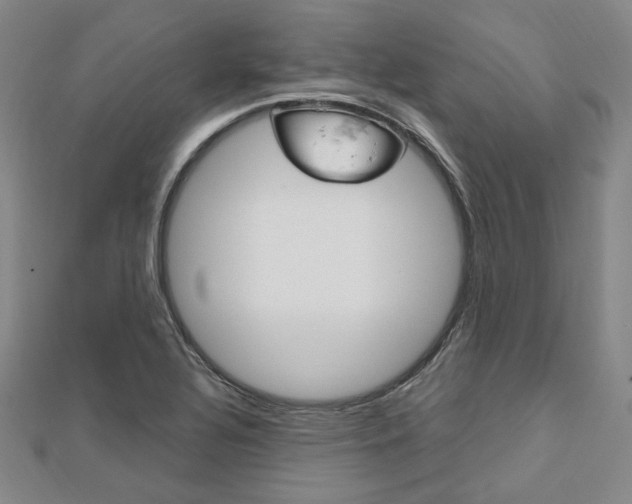 X0000112011320200908031013