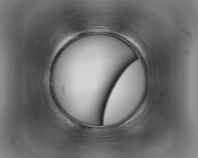 X0000112011325200908031013