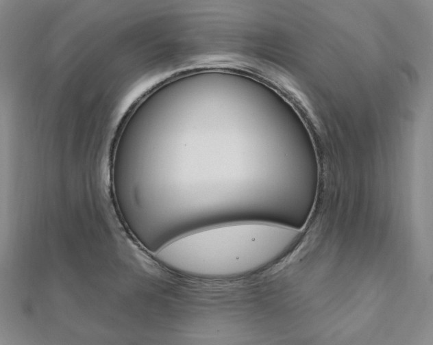 X0000112011328200908031013
