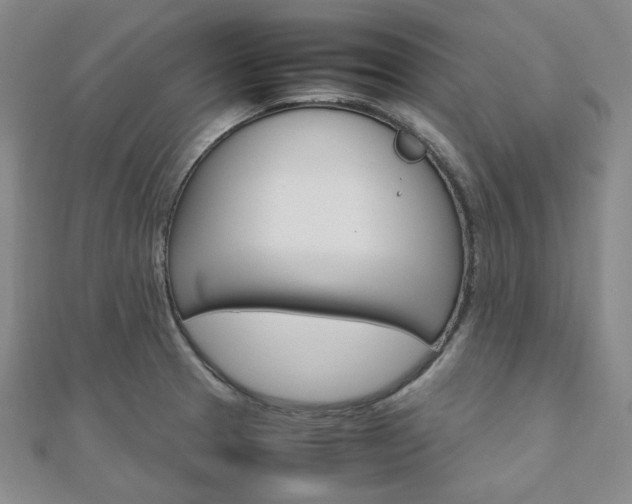 X0000112011329200908031013