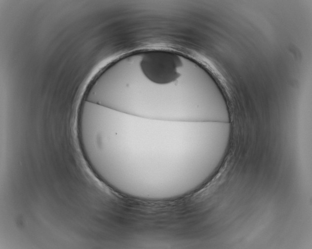 X0000112011331200908031013