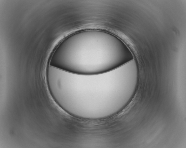 X0000112011334200908031013