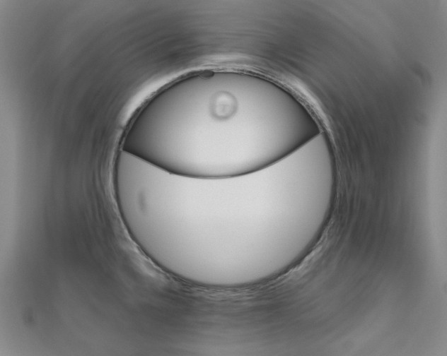 X0000112011336200908031013