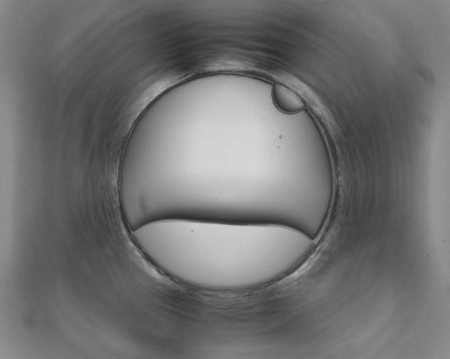 X0000112011337200908031013