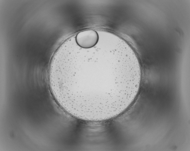 X0000112011338200908031013