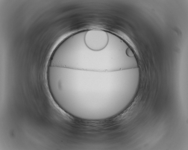 X0000112011339200908031013