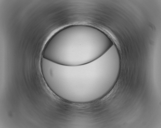X0000112011340200908031013