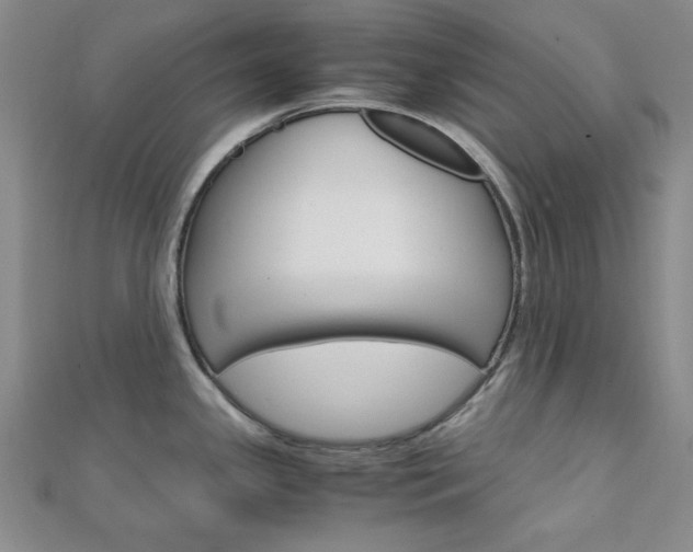 X0000112011341200908031013