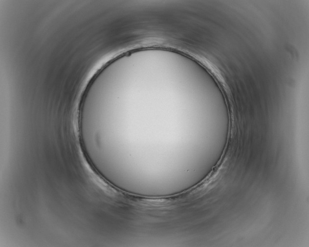 X0000112011342200908031013