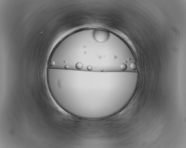 X0000112011343200908031013