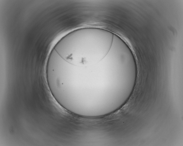 X0000112011344200908031013