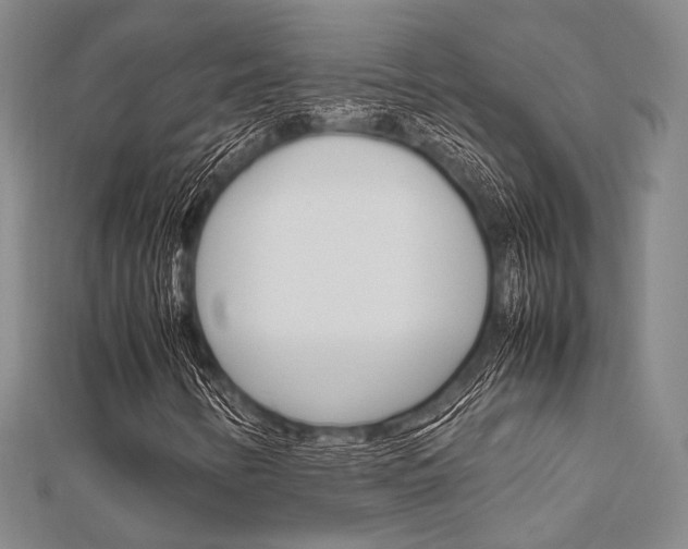 X0000112011346200908031013