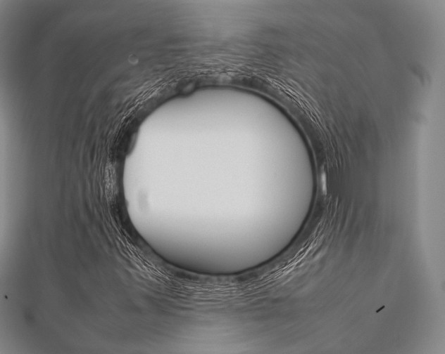 X0000112011347200908031013